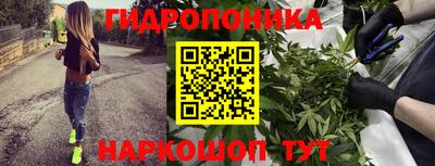 бутират Гай