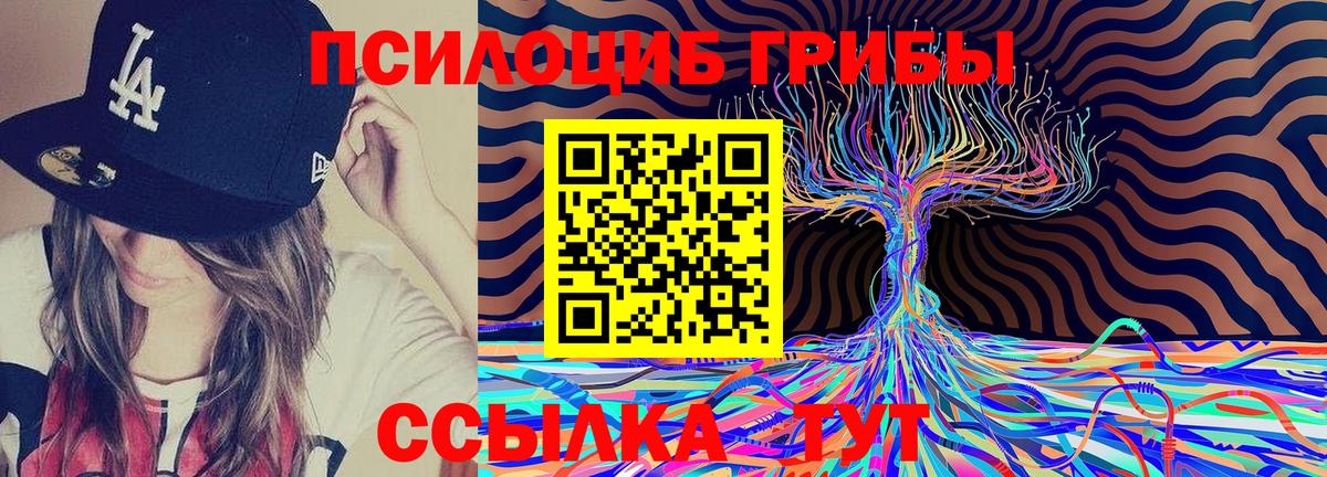 Псилоцибиновые грибы Psilocybine cubensis Миллерово