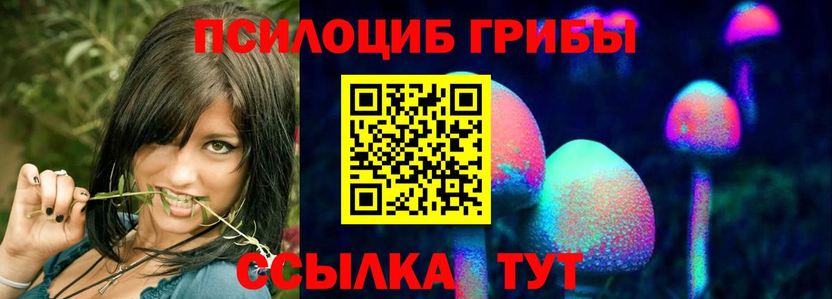Миллерово  Галлюциногенные грибы прущие грибы  Вход с VPN 